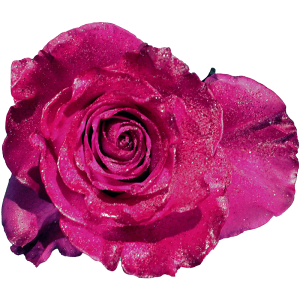 evy-flowers-garden-ecuador-usa-rosas-tinturadas-roja